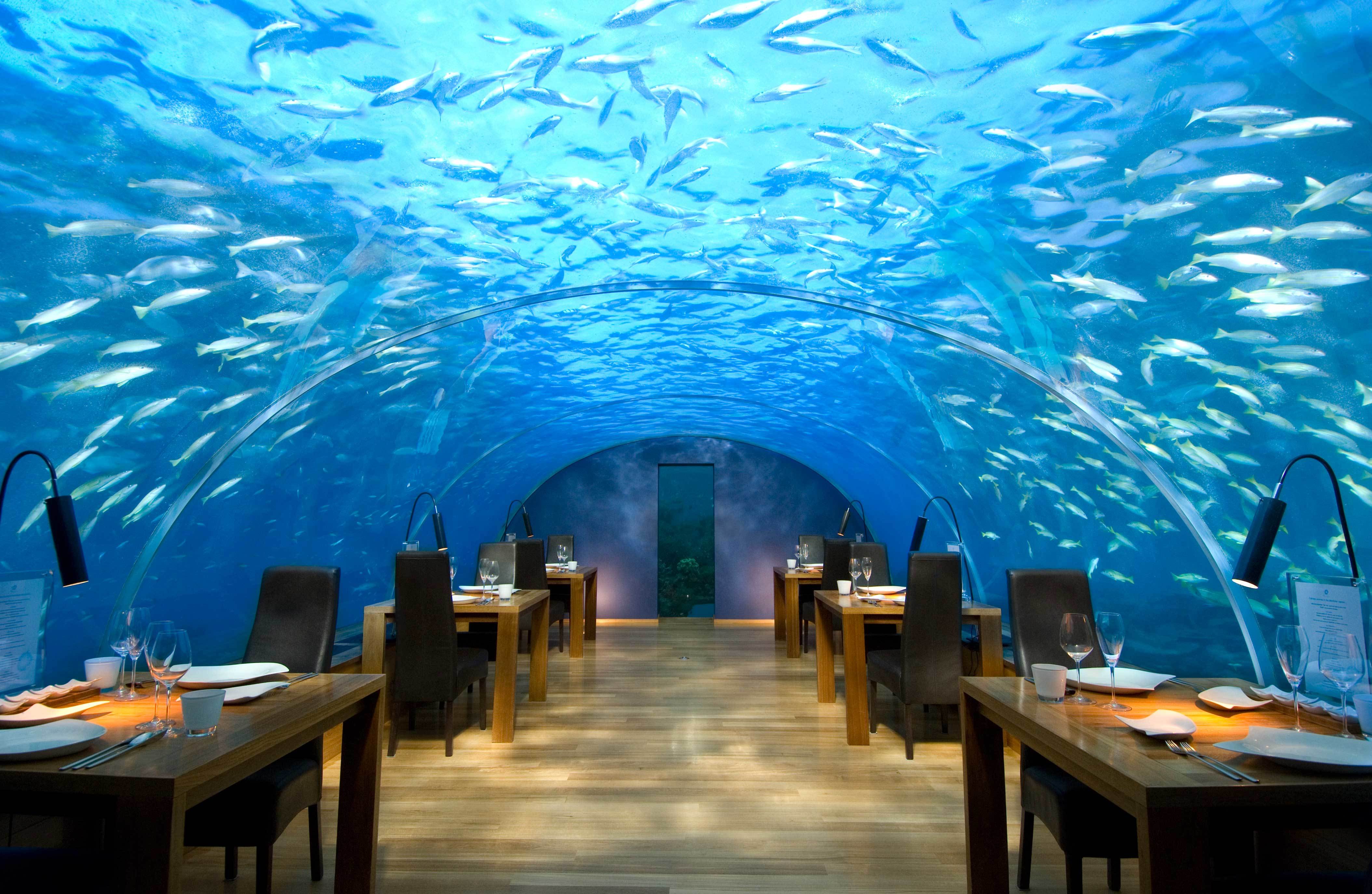 Maldives-International